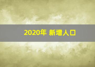 2020年 新增人口